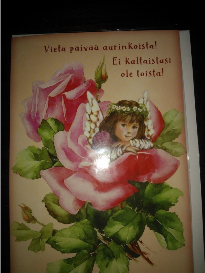 kortti nro 13 : Kaksiosainen Onnittelukortti + kirjekuori