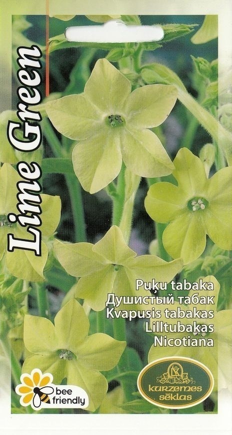 Valkotupakka 'Lime Green' - siemenet #