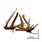Uniikki akvaariojuurakko 67 cm | S4152622 - pikkukuva 3