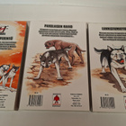 Hopeanuoli - Last Wars - manga - pikkukuva 2
