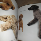 Koira - The Dog - Artist Collection - pikkukuva 3