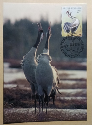 Kurki, maksikortti 19.8.1997, WWF-kortti