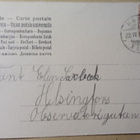 Pikkuleidit ja juuri kuoriutuneita tipuja, p. 1905 - pikkukuva 2