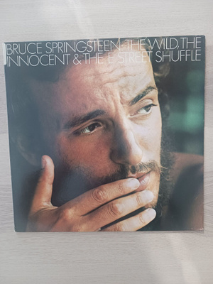 Bruce Springsteen The Wild,theInnocent & The E street shuffl