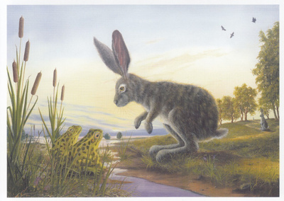 Robert Bissell: Jänis ja sammakot (taittokortti)