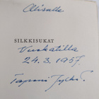 Tapani Jylha : Silkkisukat : novelleja ja kertomuksia (si... - pikkukuva 3
