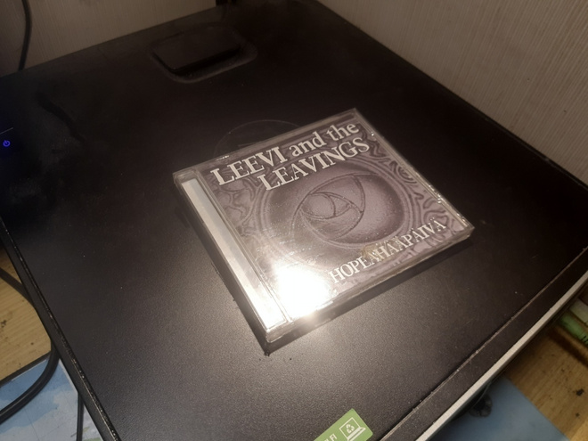 CD  Leevi And The Leavings - Hopeahääpäivä