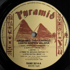LEEVI AND THE LEAVINGS Häntä Koipien Välissä ~ LP Pyramid - pikkukuva 3