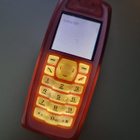 Nokia 3100 - pikkukuva 1