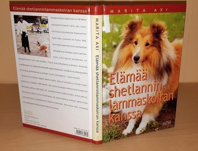Elämää shetlanninlammaskoiran kanssa