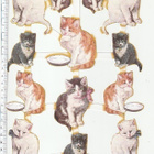 ~TBZ 571-021, suloiset kissat-arkki, 27 x 18,5cm ~ - pikkukuva 1
