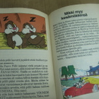 Mummo Ankan hyvänyön tarinoita – Superkirjasto - pikkukuva 5