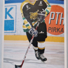 Ilves pelipaita - pikkukuva 3