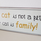 Peltikyltti - peltinen Ovikyltti - My cat is not a pet ..... - pikkukuva 5