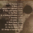 Rich Shapero - The Ram: Wild Animus CD - pikkukuva 3