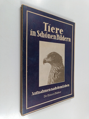 Tiere in Schönen Bildern