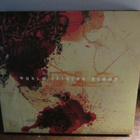 SLAYER:WORLD PAINTED BLOOD CD+DVD - pikkukuva 3