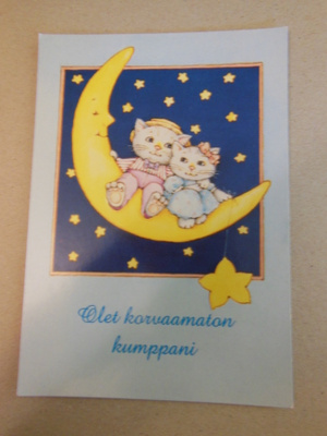 Olet korvaamaton kumppani