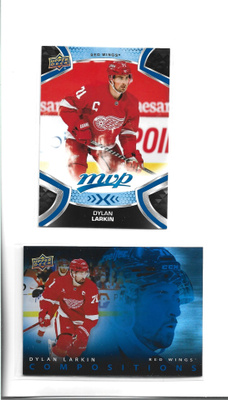 2 X DYLAN LARKIN - 1 erkkari=COMPOSITIONS #CMP-29 UD 2025-26
