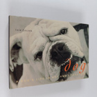 Iain Zaczek : Dog : a dog's life in art and literature - pikkukuva 1
