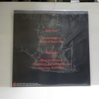 IGNIVOMOUS - PATH OF ATTRITION EX+/M- LP - pikkukuva 2