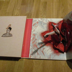 Christian Louboutin  ISO "kenkäfetissikirja" David Lynch - pikkukuva 2
