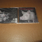Peer Günt CD No Piersing No Tattoo v.2005 - pikkukuva 1