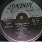 WILD FLOWERS :: TALES LIKE THESE :: VINYYLI LP 1990 - pikkukuva 3