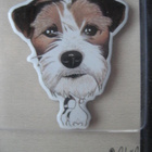 JACKRUSSELLINTERRIERI KOIRA JÄÄKAAPPIMAGNEETTI - pikkukuva 1