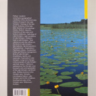 Lake Vortsjärv (signeerattu) - pikkukuva 2