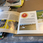 ZUNDAPP MOPED ESITE 60-LUKU HYVÄ - pikkukuva 3