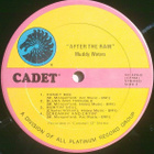 MUDDY WATERS ~ After The Rain ~ LP - pikkukuva 4