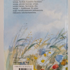 Marjatta Kurenniemi : Pilvipaimen - pikkukuva 2