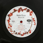 Robert Plant - Band Of Joy *Audiophile quality 180gram 2LP* - pikkukuva 4