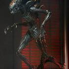 NECA ALIEN ROMULUS big chap figure    - HEAD HUNTER STORE. - pikkukuva 2