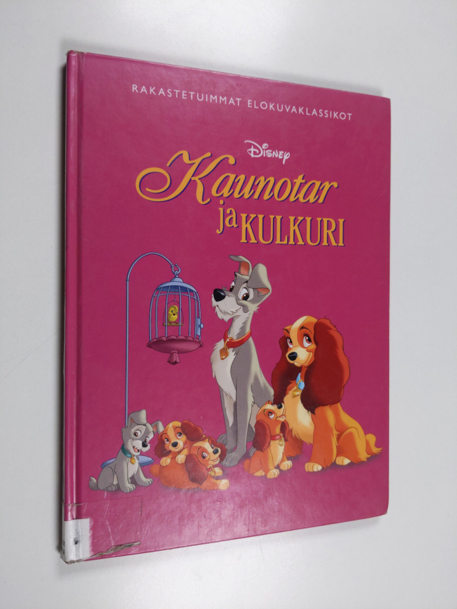 Kaunotar ja kulkuri
