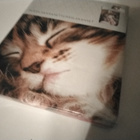Kissa pussilakanasetti - pikkukuva 2