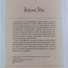 Juhani Niemi : Juhani Aho - pikkukuva 2