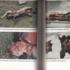 NATO Crimes in Yugoslavia: Documentary Evidence 1 - 2, K3 - pikkukuva 4