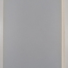 Leningard in works of graphic art and painting (Laatikossa) - pikkukuva 2