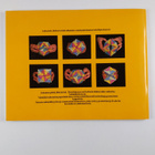 Doris Schattschneider : M. C. Escher kaleidosyklit - pikkukuva 2