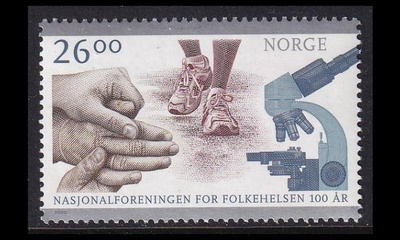Norja 1725 ** Kansanterveyslaitos 100v (2010)