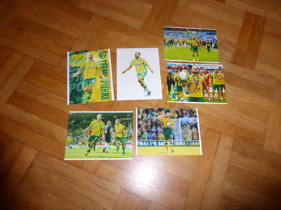 Teemu Pukki Norwich City valokuvia