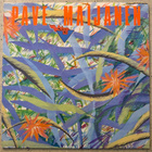 [LP] PAVE MAIJANEN: PALAVA SYDÄN - pikkukuva 1