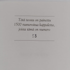 Suomalainen muotokuva (numeroitu) - pikkukuva 3