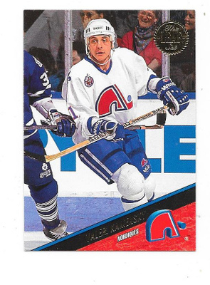 1993-94 LEAF #207 Valeri Kamensky , Quebec Nordiques