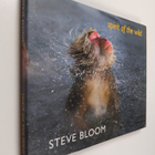 Steve Bloom : Spirit of the wild - pikkukuva 1