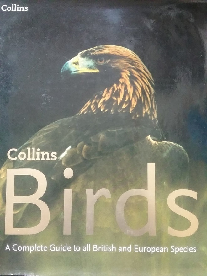 Collins Birds: A Complete Guide to all British and European