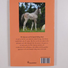 Barbara Sternthal : The Lipizzans and the Spanish Riding ... - pikkukuva 2