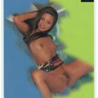 1997 Hot Shots #17 Sammy - pikkukuva 3